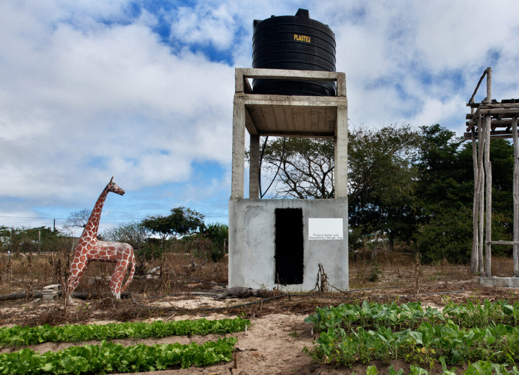 solar_water_pump ©Laura Salvinelli